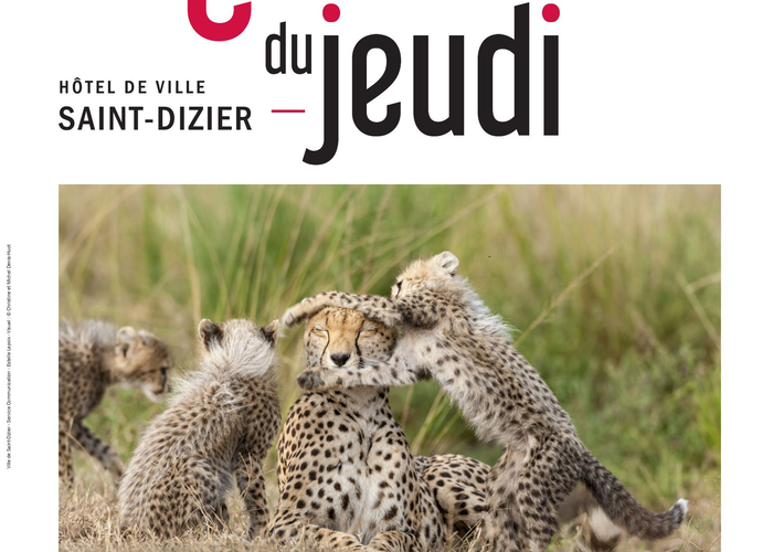 Conférence du Jeudi : les reines de la savane.